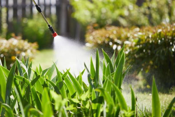 24/7 Emergency Mosquito Control experts in La Crescent, MN