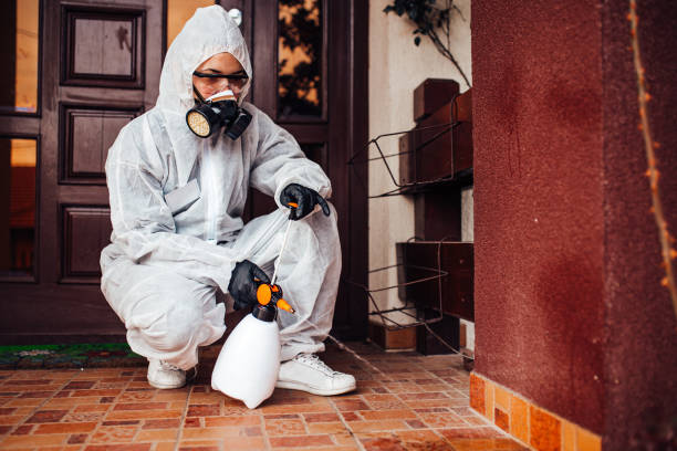 Reliable Mosquito Control contractor in La Crescent, MN by Show Me Pest Control